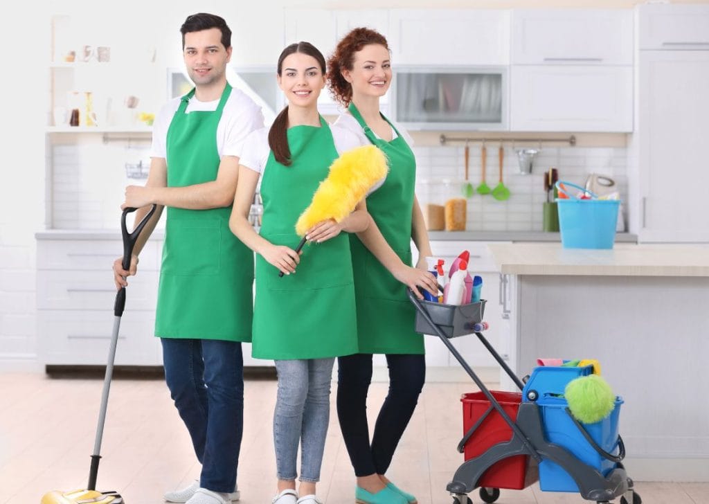 Pro Cleaning Services