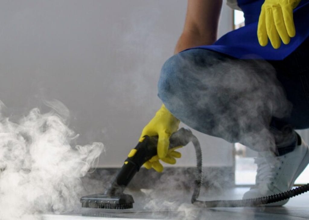 carpet cleaning services
