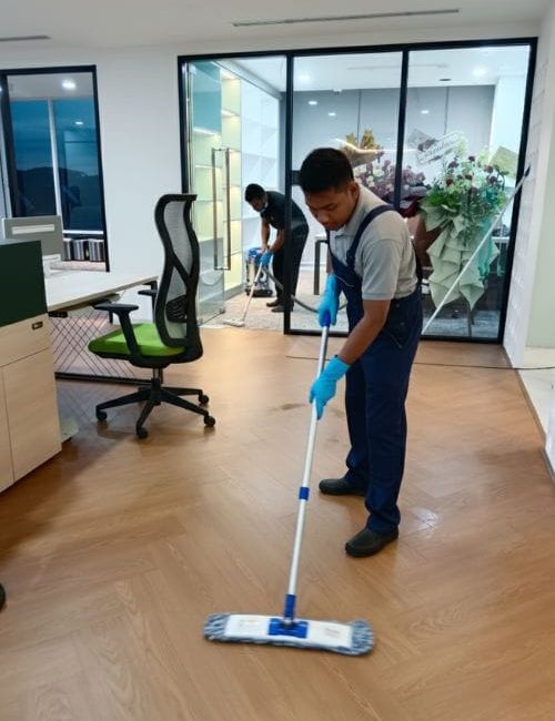 Professional House Cleaning Services Professional House Cleaning Services