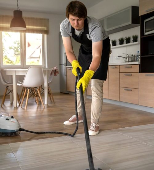 Professional House Cleaning Services Professional House Cleaning Services