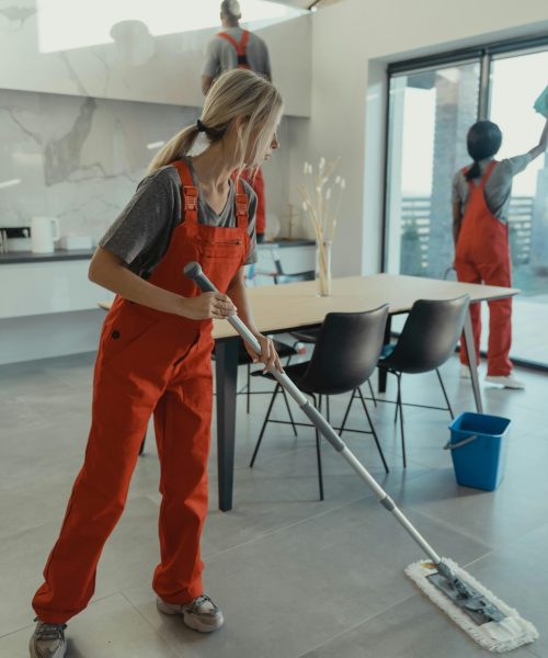 about-company about-company